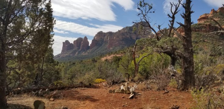 view of red rocks in Sedona, AZ