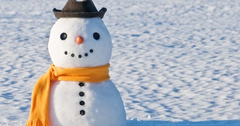 Do the Changing Seasons Affect Your Budget - picture of snowman