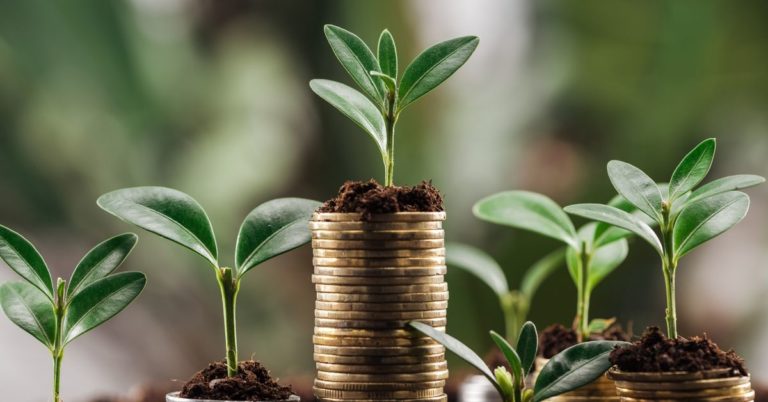 How to Invest for Future - picture of coin stacks with seedlings growing out of them