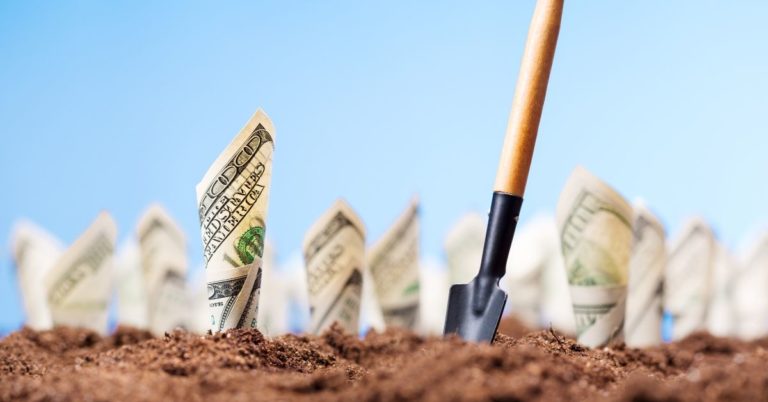 MoneyPatrol Review - picture of dollar bills planted in dirt with a shovel