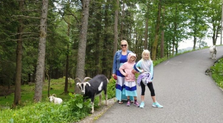 Photo of family with mountain goat