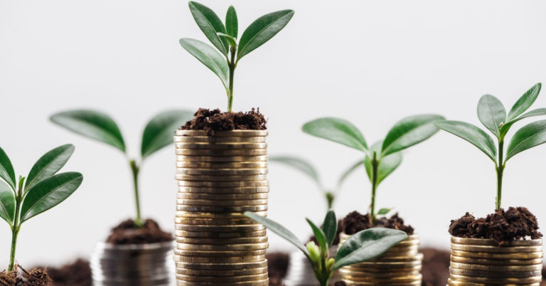 Worthy Review - picture of seedlings in dirt on top of stack of coins