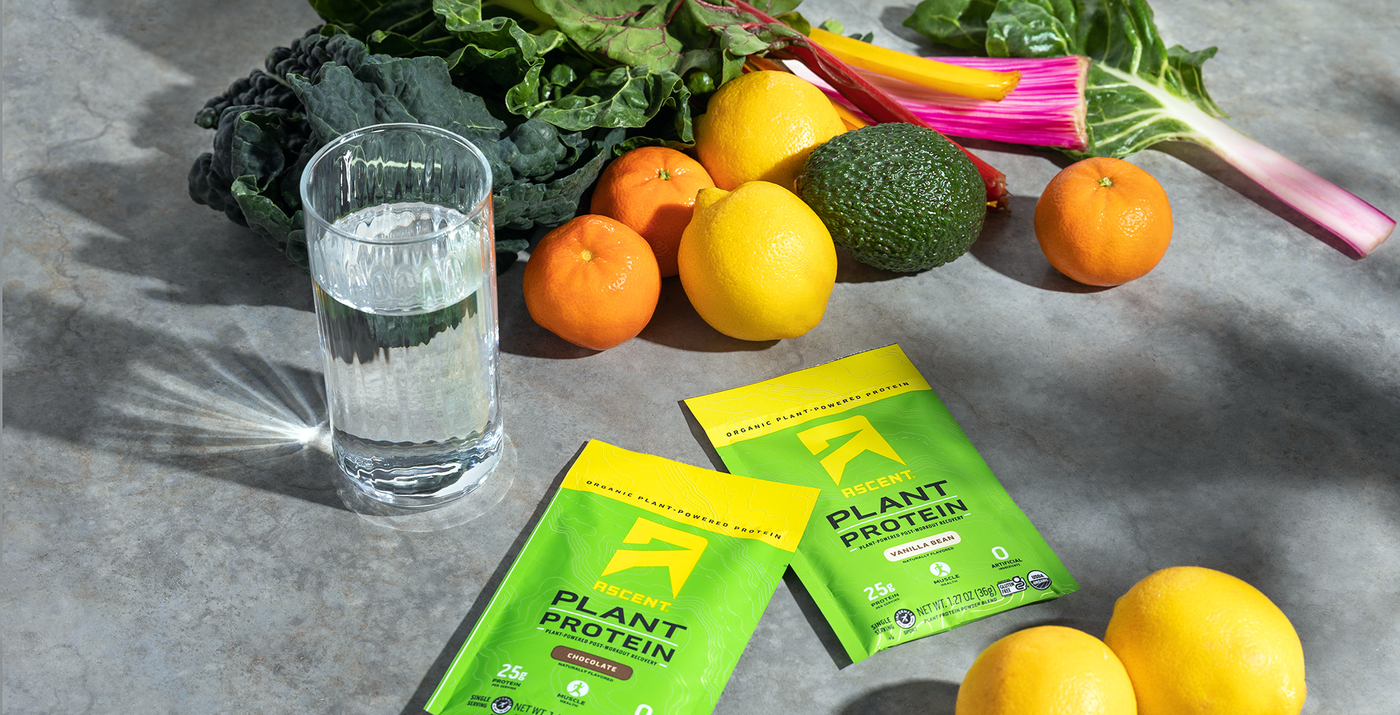 How to Add Plant-Based Protein to a Protein Rich Diet