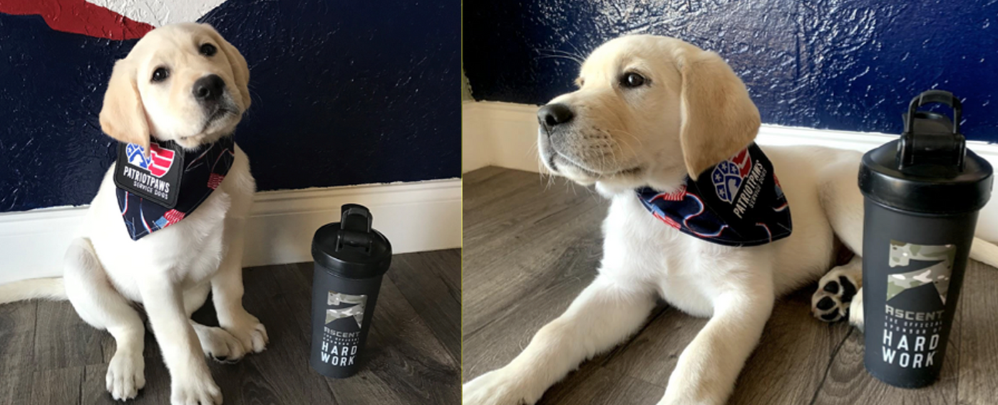 Ascent Protein Launches Veterans Day Partnership with NFL’s Christian McCaffery