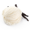 Vanilla bean icon